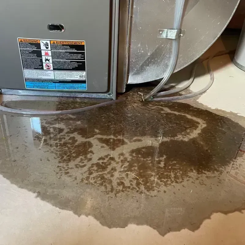 Appliance Leak Cleanup in Hoxie, KS